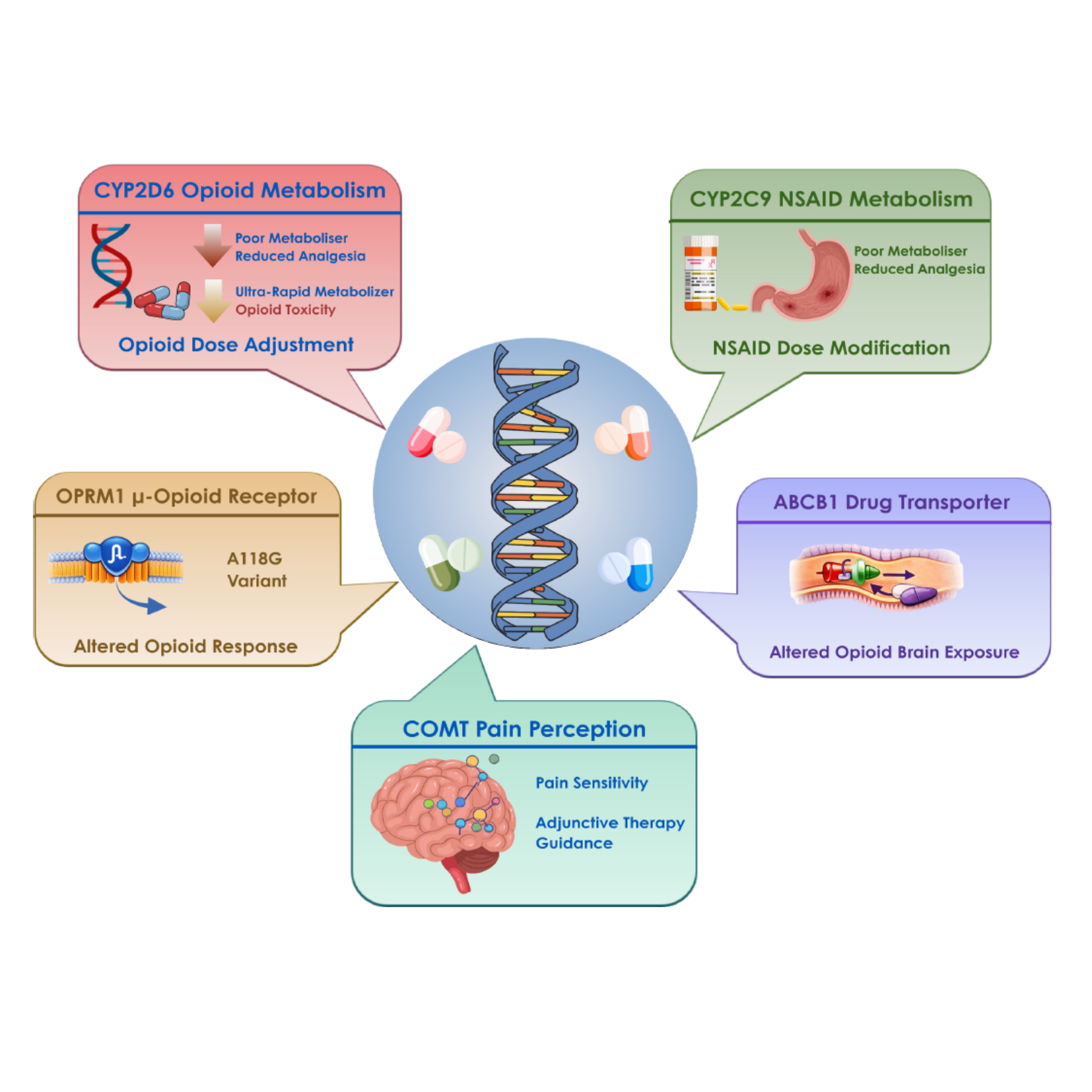 Latest Ampath Alert